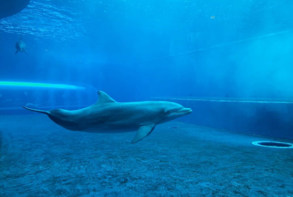 Genua Aquarium