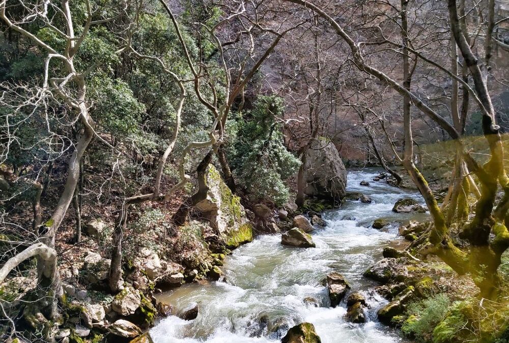 Mit der Zahnradbahn nach Kalavryta