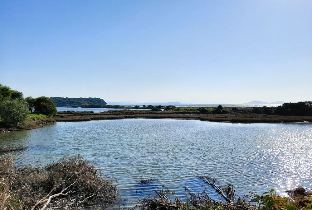 Nationalpark Amvrakikos Wetlands