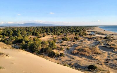 Nationalpark Kotychi-Strofylia