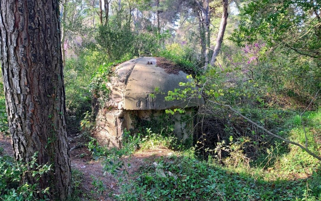 Albanien Bunker