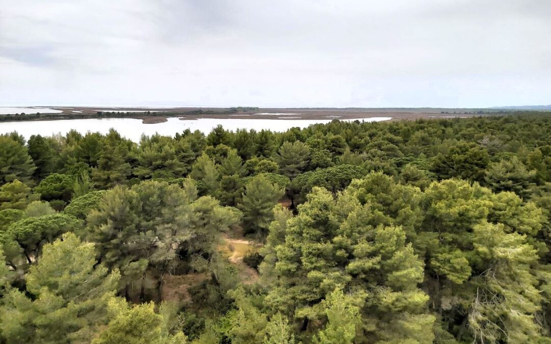 Albanien Nationalpark Divjaka-Karavasta