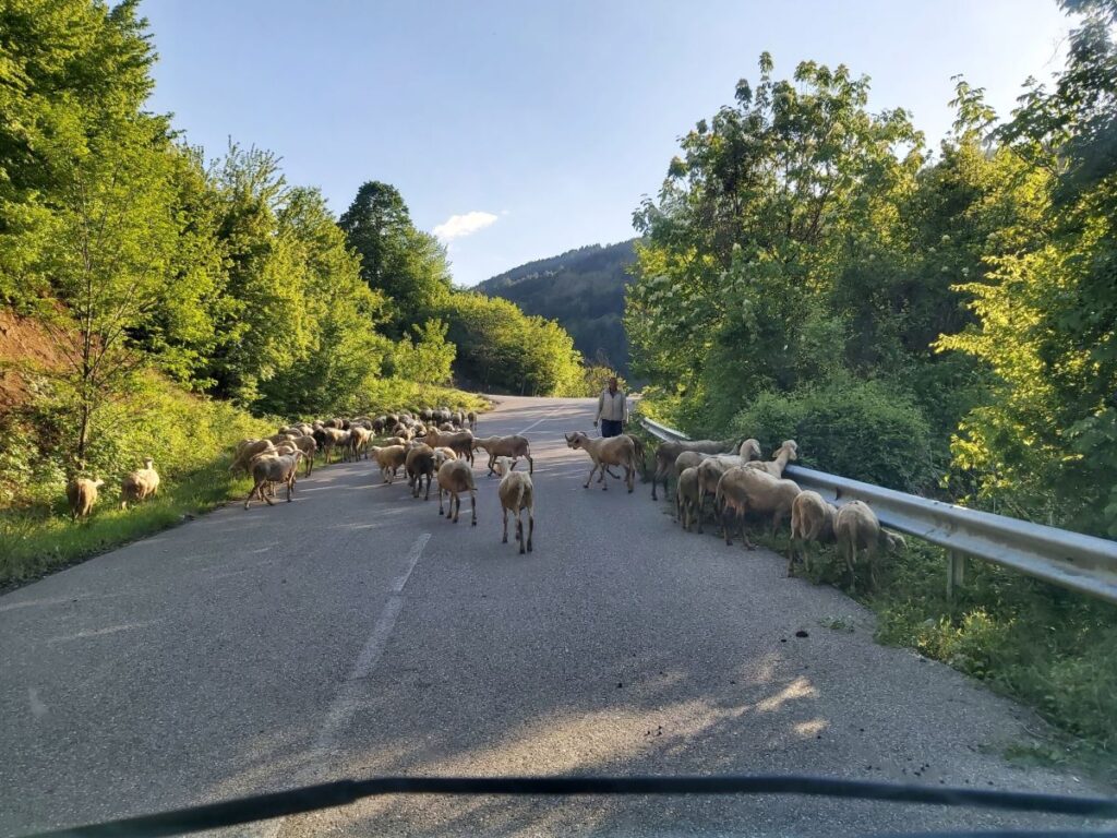 Kosovo