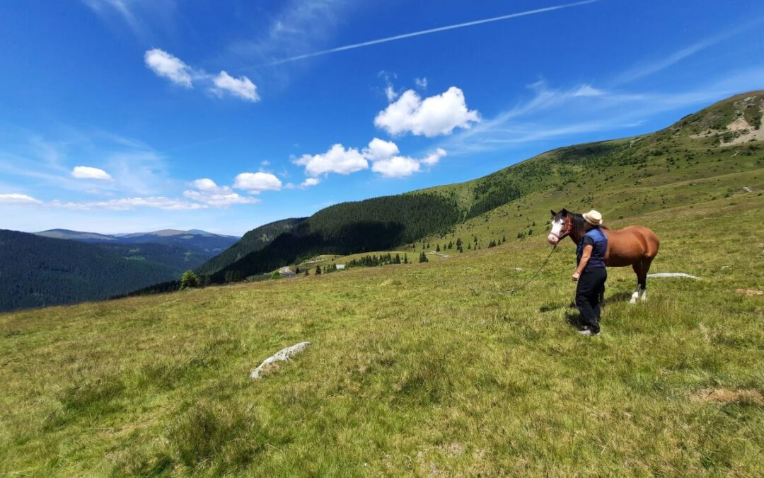 Panoramastraße Transalpina