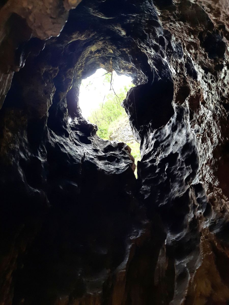 Blick ins dunkle Innere eines hohlen Baumstamms. Nur in der Mitte erkennt man Baumwipfel und ein Stück Himmel