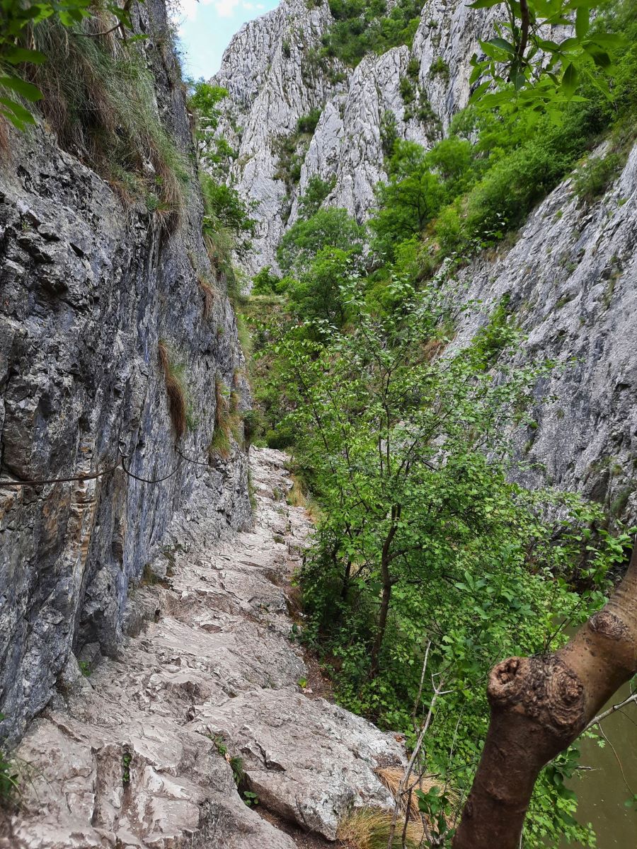 Ein in den Fels geschlagener Pfad führt an einer steil aufragenden Felswand entlang. An der Felswand ist ein Seil zum festhalten angebracht. Der Pfad ist steinig und fälllt rechts ab. An seinem Rand wachsen Bäume. Rechts und im Hintergrund sieht man, wie die Schlucht weitergeht