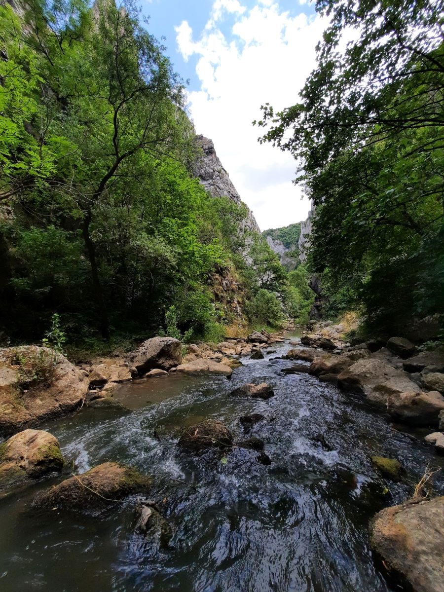 Ein Fluss fließt durch eine Schlucht mit grauen, von Büschen und Gras bewachsenen Felsen. Im Vordergrund stehen Bäume am Flussufer, dass voller großer Felsbrocken ist