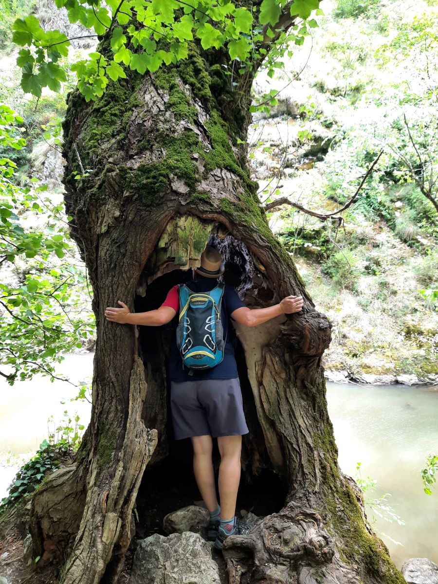 Silke steht an einem Baum, der im Inneren hohl ist und schaut in ihn hinein. Sie trägt violette kurze Hosen und ein blaues T-Shirt, dessen linker Ärmel rot ist. Auf dem Rücken trägt sie einen helblau/dunkelblauen Rucksack. Im Hintergrund erkennt man einen Fluss