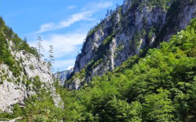 Die Tara-Schlucht, ein Stausee und ein Kloster in Montenegro.