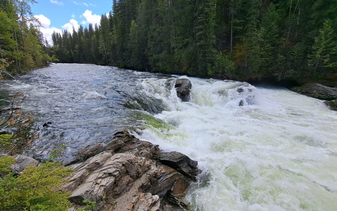 Wels Gray Provincial Park
