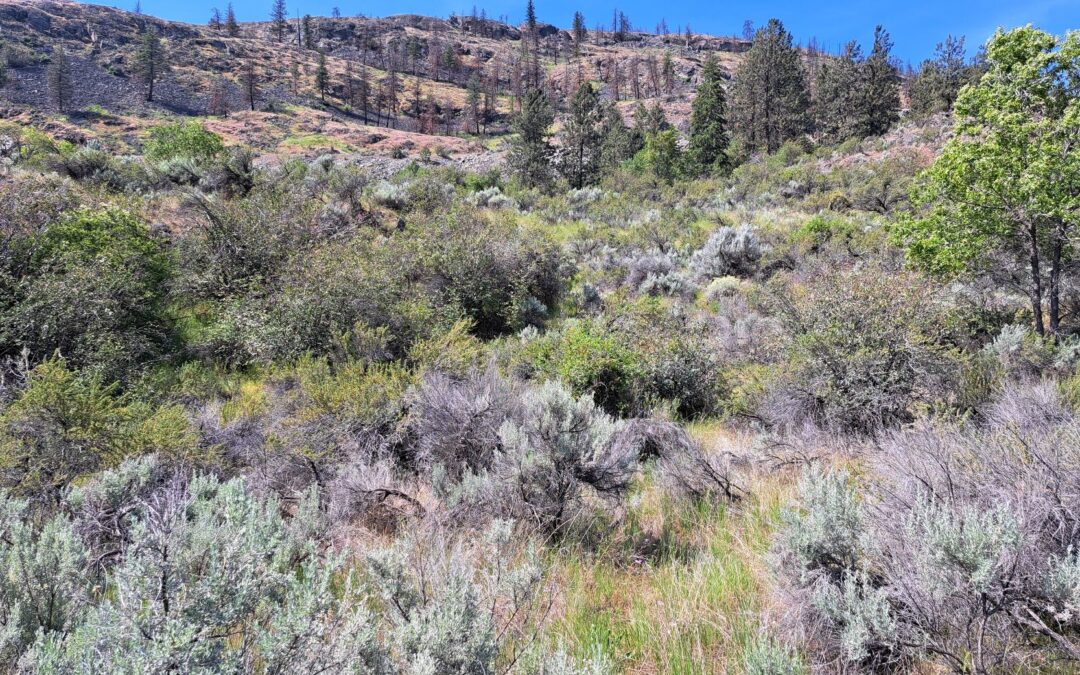 Osoyoos