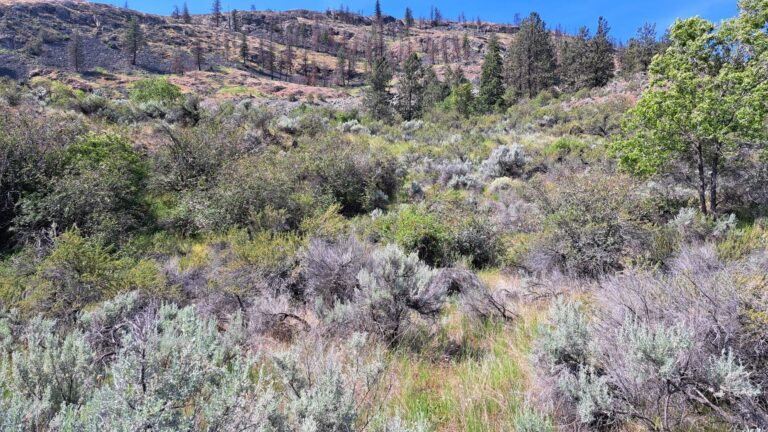 Osoyoos