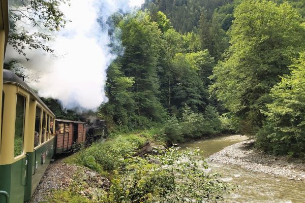 Mocănița Wassertalbahn in den Karpaten, Rumänien – Zugfahrt mit Dampflok entlang des Flusses durch grünen Wald