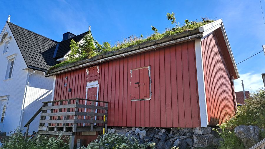 Haus mit begrüntem Dach in Henningsvær