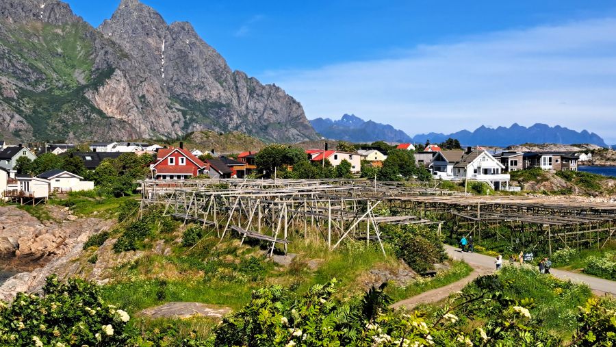 Stockfischgestelle in Henningsvær