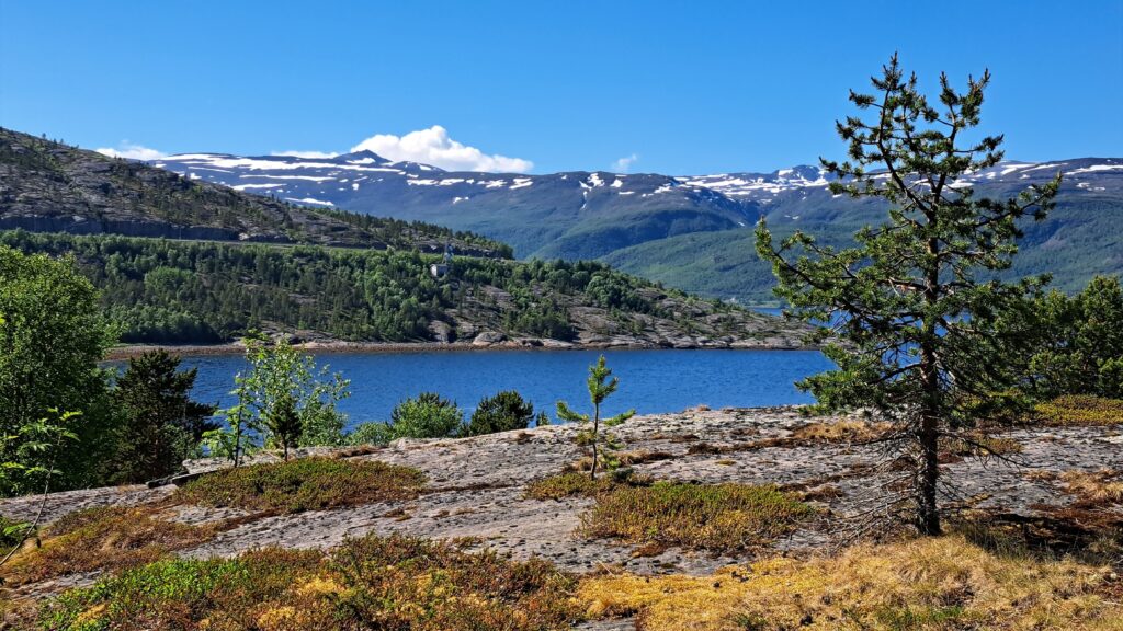 Fjordlandschaft im Alta-Museum mit Bergen im Hintergrund