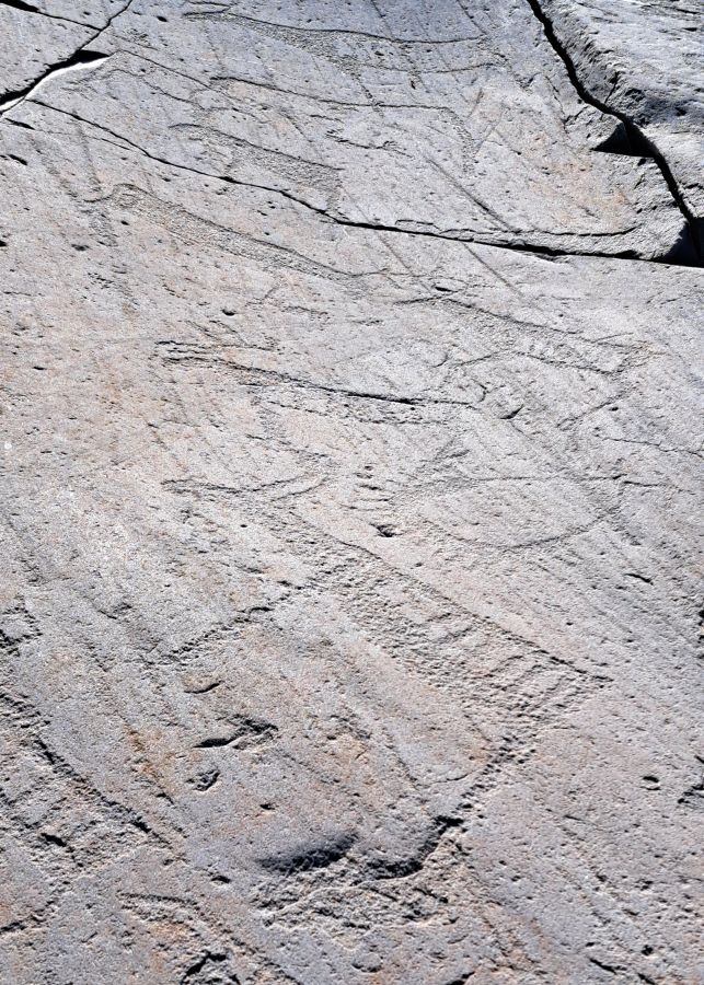 Verwitterte Felsritzungen aus der Steinzeit auf einer grauen Felsplatte in Alta