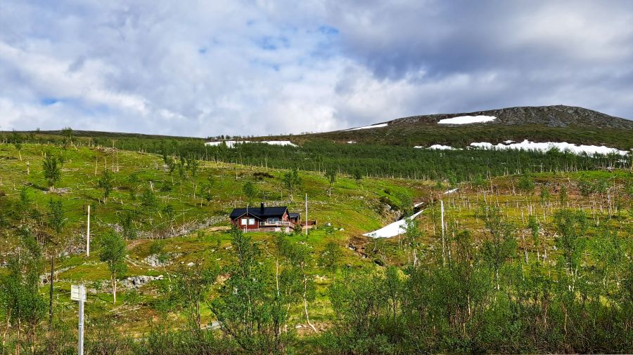 Einzelnes Holzhaus in der Tundra-Landschaft der Finnmark mit Schneeresten im Sommer