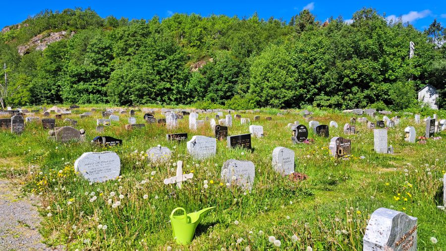 Friedhof mit blühender Wiese an der Vågan-Kirche