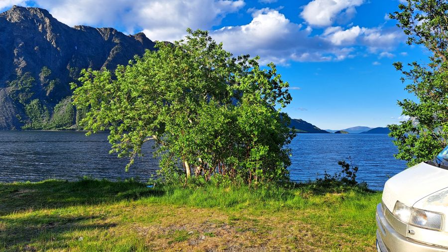 Blick auf den Langfjorden vom Rastplatz Langfjordveien