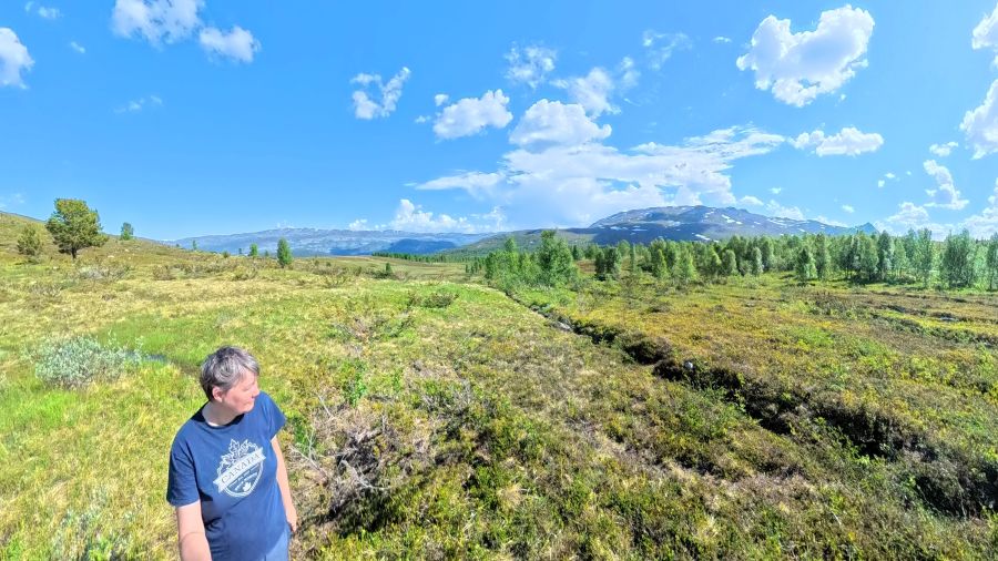 Parallele Geländestrukturen ehemaliger Schneezäune in Nordnorwegen