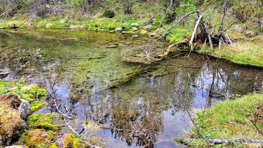 Größte natürliche Quelle Finnlands im Kevo-Naturschutzgebiet