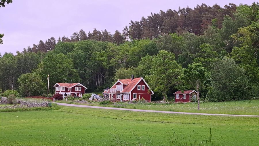 Rote schwedische Holzhäuser mit weißen Fensterrahmen im Abendlicht