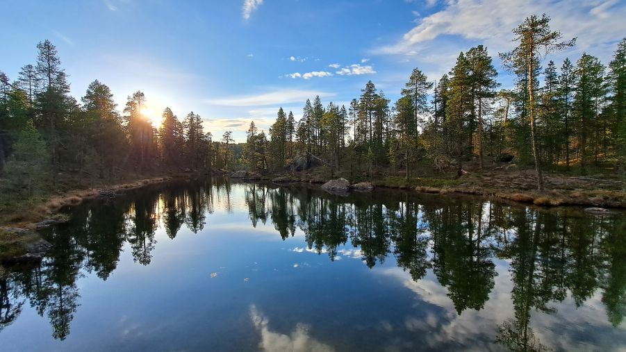 Kleiner See am ersten Freistehplatz in Finnisch-Lappland