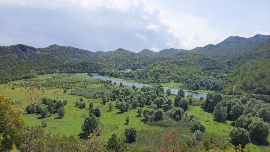 Grüne Flusslandschaft in Montenegro
