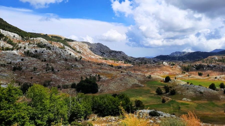Karge Karstlandschaft im Lovćen-Nationalpark