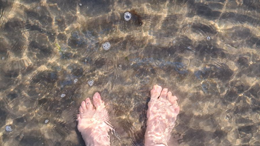 überraschend warmes Wasser im Kattegat