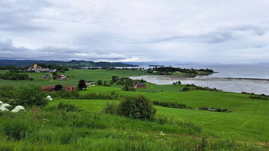 Grüne Kulturlandschaft mit Feldern und Trondheimsfjord auf Inderøy