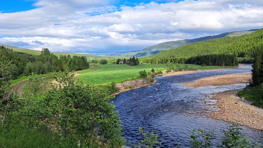 Landschaft entlang des Fluss Gaula südlich von Trondheim