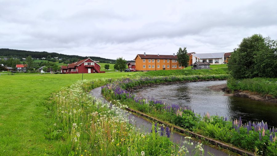 Fluss und Häuser am Wohnmobilstellplatz in Høylandet