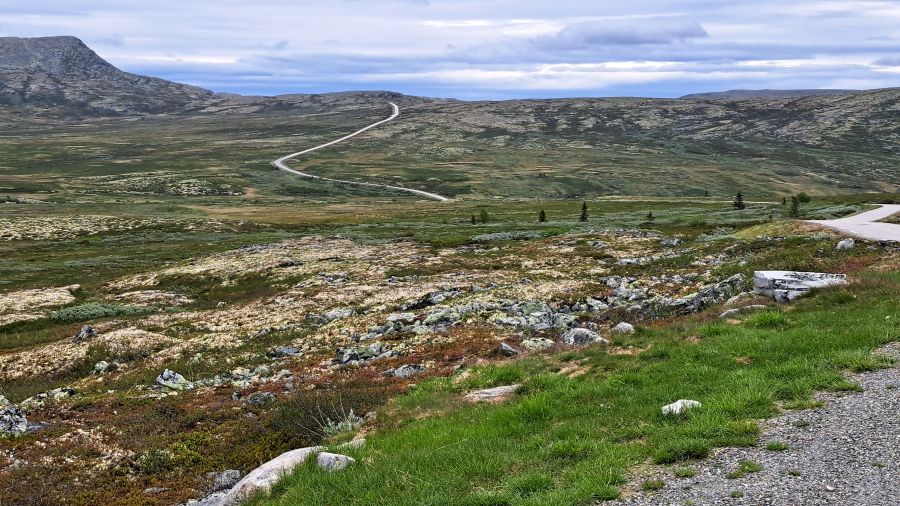 Straße durch die Hochebene des Ringebufjellet in Norwegen