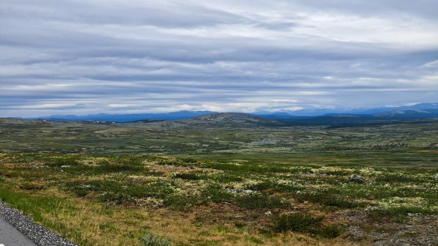 Weite baumlose Landschaft auf dem Ringebufjellet am Friisvegen
