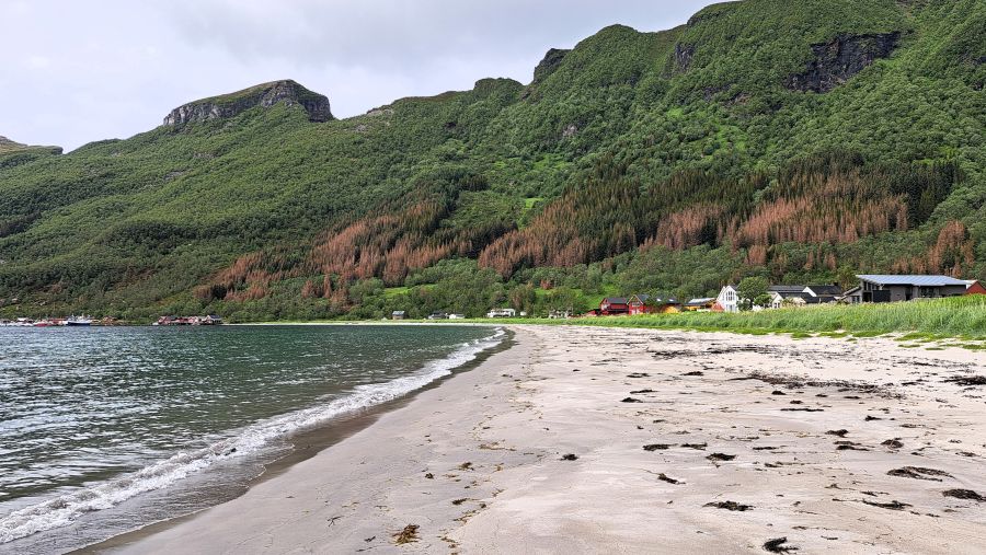 Sandstrand von Storvik an der Kystriksveien