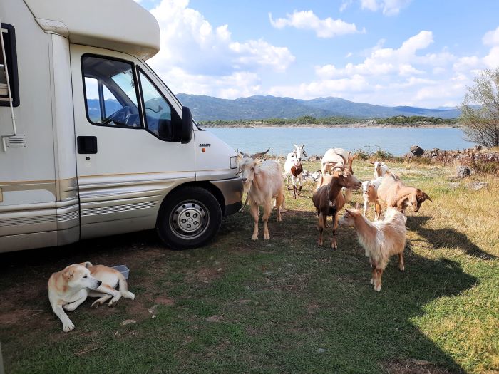 Wohnmobil auf einer Wiese am Slano Jezero bei Nikšić