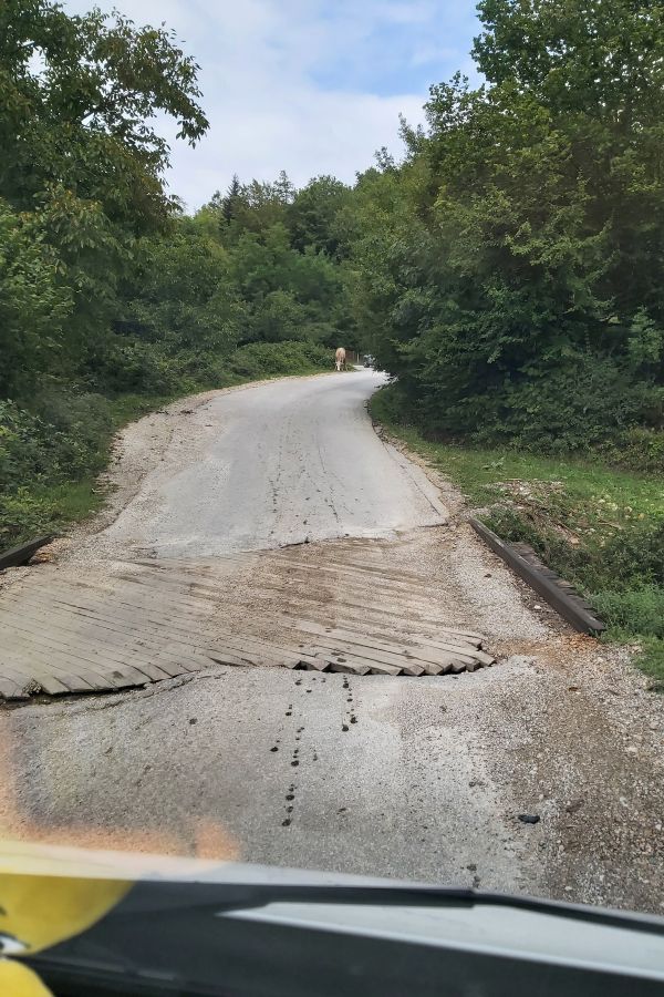 Mit Holzbohlen abgedeckter Wasserdurchlass auf einer Straße in Bosnien