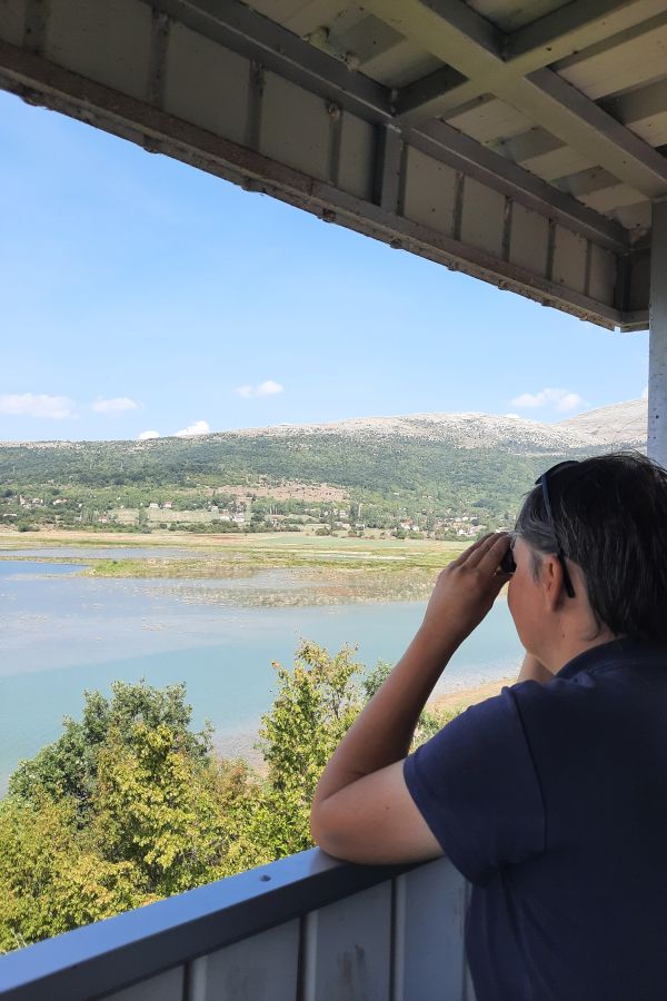 Vogelbeobachtung mit dem Fernglas am Buško jezero