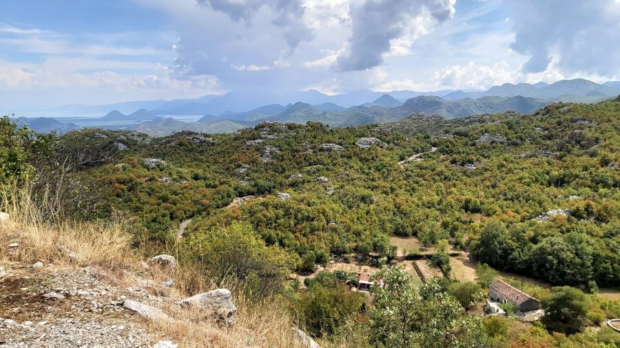 Bewaldete Berglandschaft auf der Fahrt ins Landesinnere Montenegros