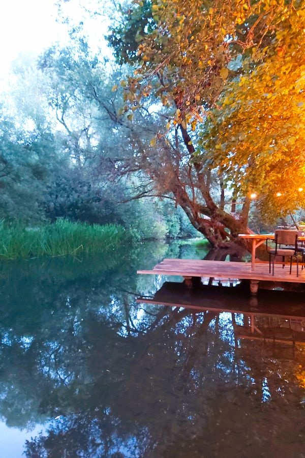 Beleuchteter Baum am Fluss beim Riverside Restaurant